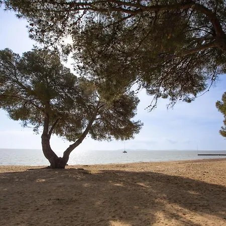 Les Canoubiers I By Interhome * La Londe-les-Maures